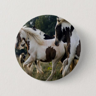 PFERDE SCHWARZES UND WEISSES 1.PNG BUTTON