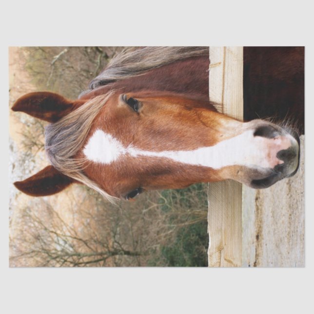 PFERDE SEIDENPAPIER (Vorderseite)