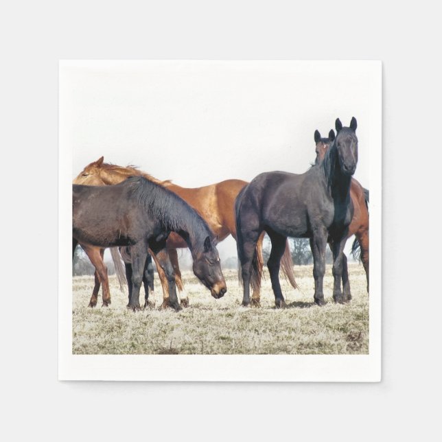 PFERDE SERVIETTE (Vorderseite)