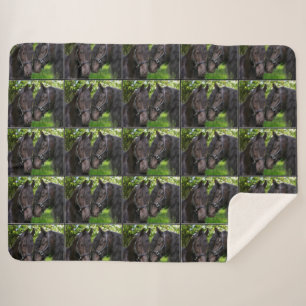 Pferde Sherpadecke