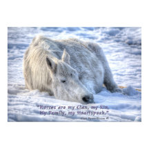 Pferde sind meine Clan Quote Mare Asleep Motiviere