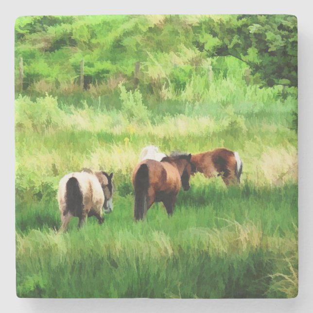 PFERDE STEINUNTERSETZER (Vorderseite)