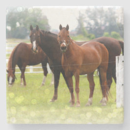 Pferde Steinuntersetzer