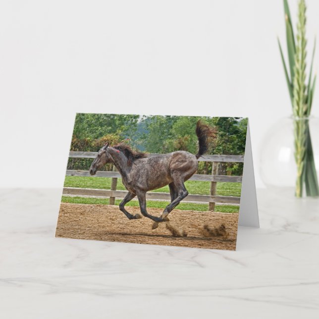 Pferde-Tennessee-Walker-Spielkarte Karte (Vorderseite)