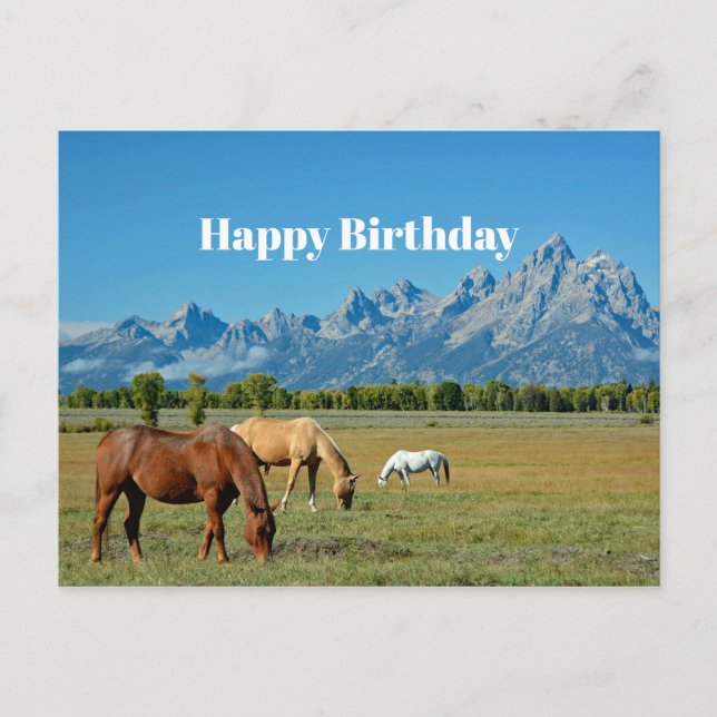 Pferde Teton Berge Landschaft Foto Postkarte (Vorderseite)