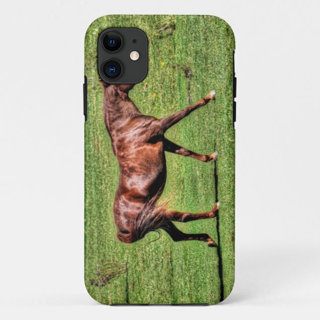 Pferde - Thema "Amerikanischer Western" Case-Mate iPhone Hülle (Rückseite)