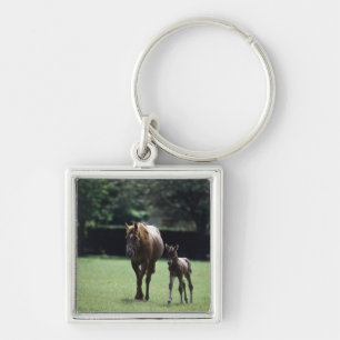 Pferde - Thoroughbred, Stute und Fohlen, Schlüsselanhänger