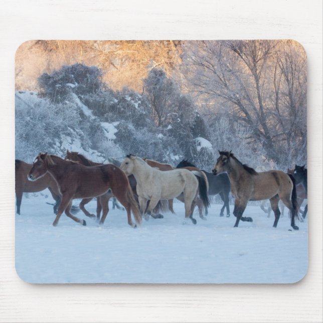 Pferde-Treck im Winter auf der Hideout Ranch Mousepad (Vorne)
