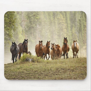 Pferde überqueren einen kleinen Hügel während des Mousepad