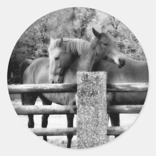 Pferde Umarmung - Pferde Liebe Fotografie Runder Aufkleber