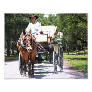 Pferde-und Buggy-Wagen reiten in das Land-Foto Fotodruck