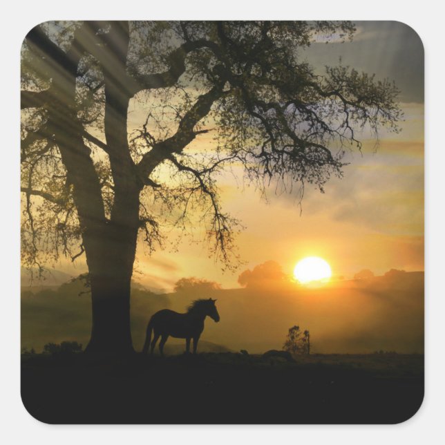 Pferde- und Eichenbaum mit Sonnenaufgangsklebern Quadratischer Aufkleber (Vorderseite)