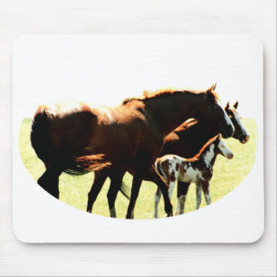 Pferde und Fohlen Mousepad