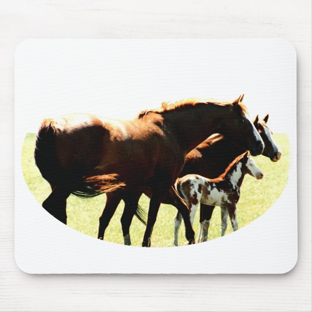 Pferde und Fohlen Mousepad (Vorne)
