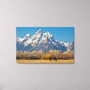 Pferde und Grand Tetons, Elchkopfranke Leinwanddruck