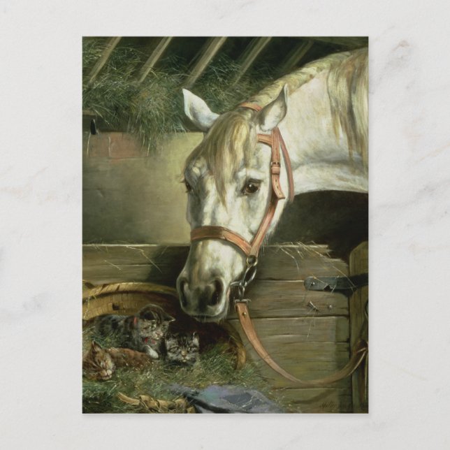 Pferde und Kätzchen, 1890 Postkarte (Vorderseite)