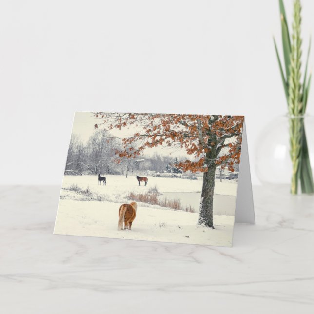 Pferde und Pony im Schnee Im Winter am Lago Maggio Dankeskarte (Vorderseite)