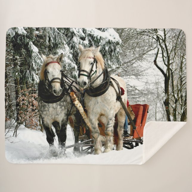 PFERDE UND SCHNEE IM SCHNEE SHERPADECKE (Vorderseite (Horizontal))