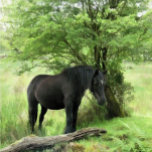 PFERDE VERSILBERTE KETTE<br><div class="desc">Eine schöne schwarze Stute,  die im Schatten eines Baumes ruht.</div>