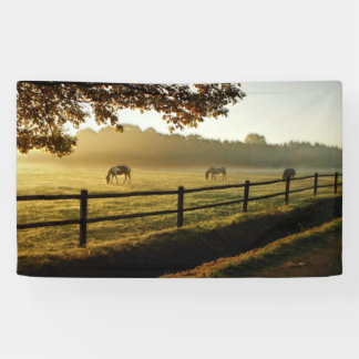 Pferde Weiden im Sonnenaufgang Banner