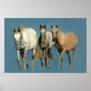 Pferde Wild und wunderbar Print Poster