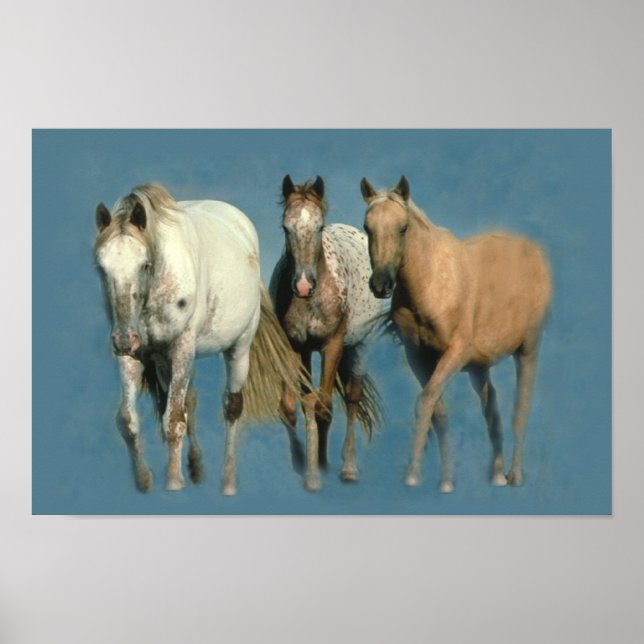 Pferde Wild und wunderbar Print Poster (Vorne)