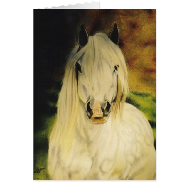 Pferdeartige Karte "die Shetlandinseln-Ponys" (Vorne)