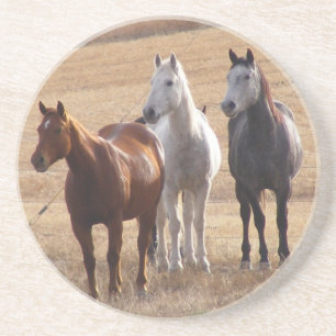 Pferdeartige Neugier 3 Getränkeuntersetzer