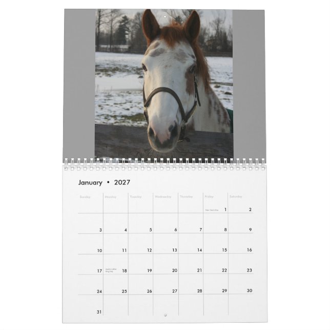 Pferdeartiger Kalender (Jan 2027)