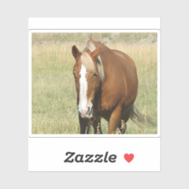 Pferdeaufkleber Aufkleber