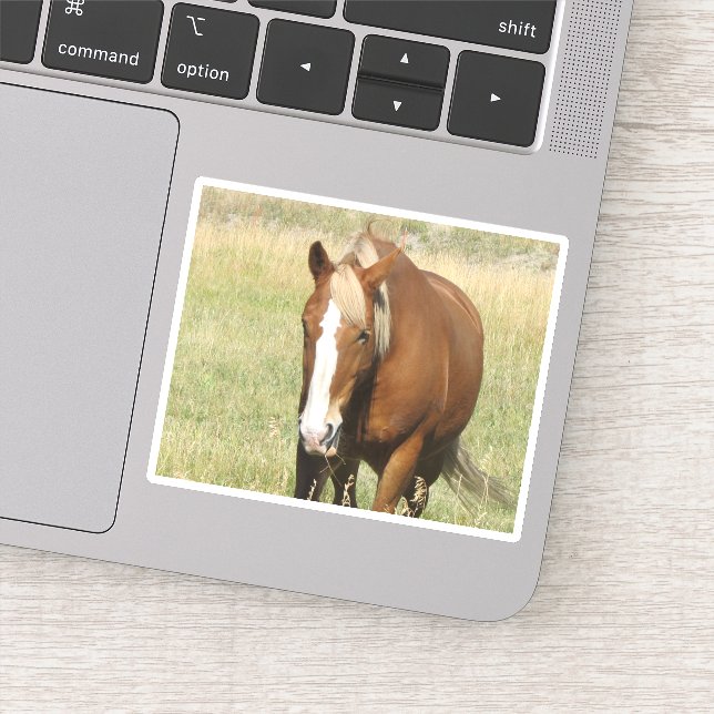 Pferdeaufkleber Aufkleber (Detail)