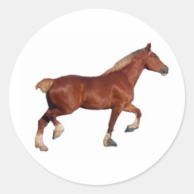 Pferdeaufkleber Runder Aufkleber (Vorderseite)