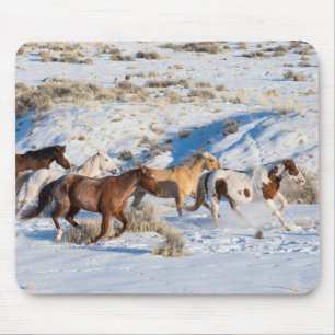 Pferdeauftrieb im Winter auf der Hideout Ranch Mousepad