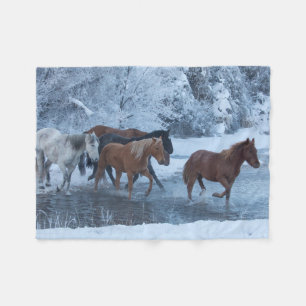 Pferdeauftrieb im Winter Fleecedecke