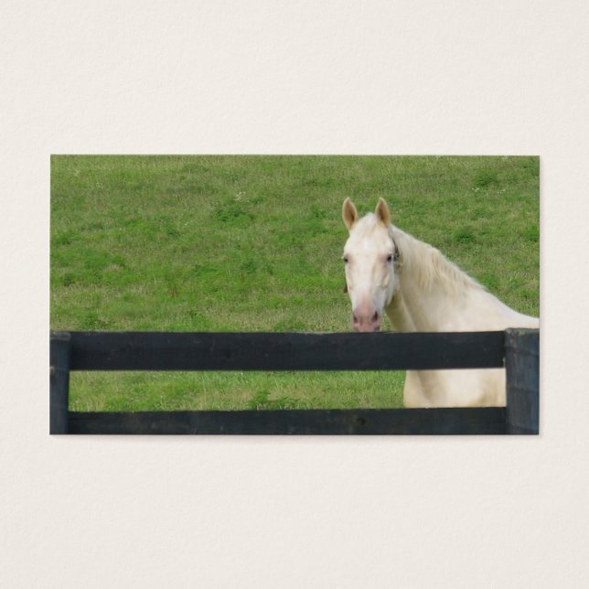 Pferdeausweis (Vorderseite)