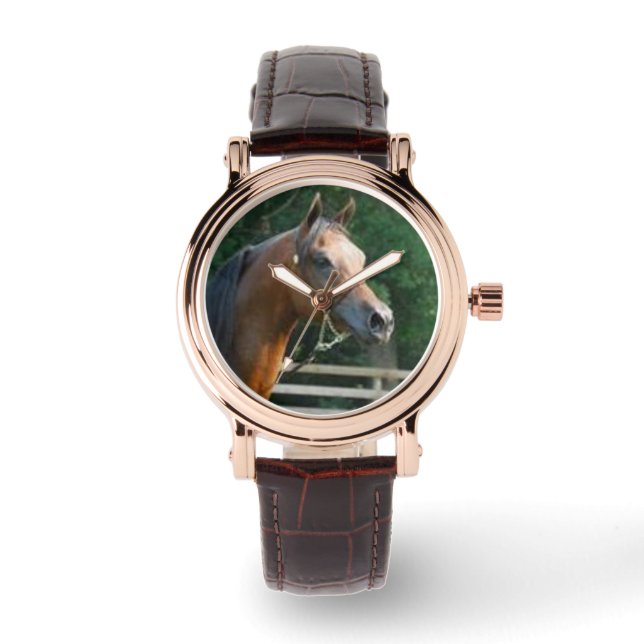 Pferdebeobachtung durch Hevener Armbanduhr (Vorderseite)