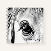 Pferdeblick - Spiral-Skizzenbuch