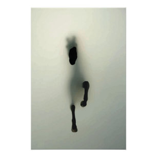 Pferdebruch durch Nebel Poster