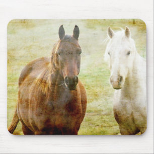 Pferdebuddies Mousepad