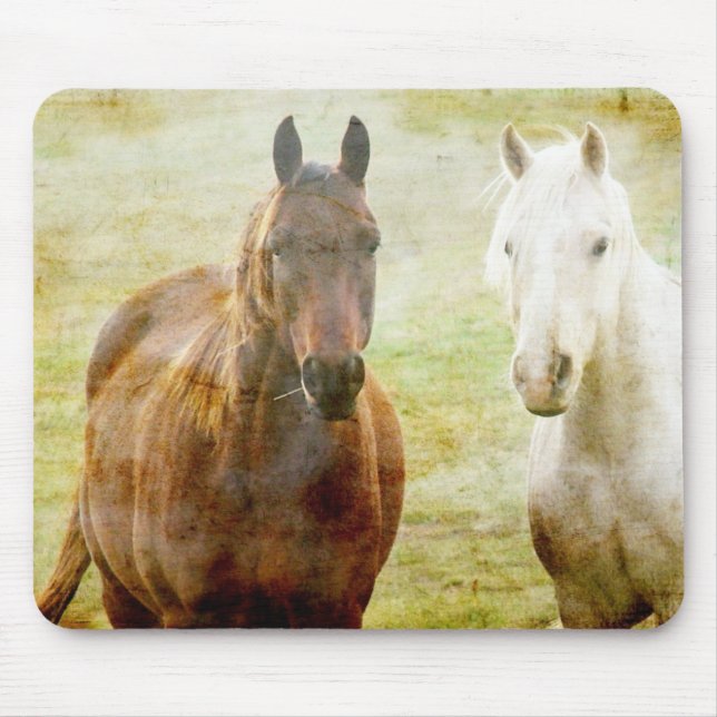 Pferdebuddies Mousepad (Vorne)