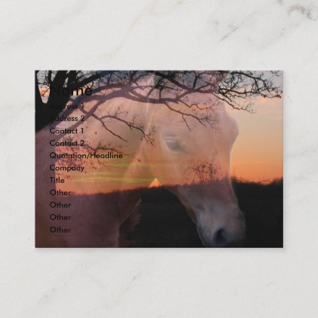 Pferdecolt-Sonnenaufgang-Visitenkarte Visitenkarte (Vorderseite)