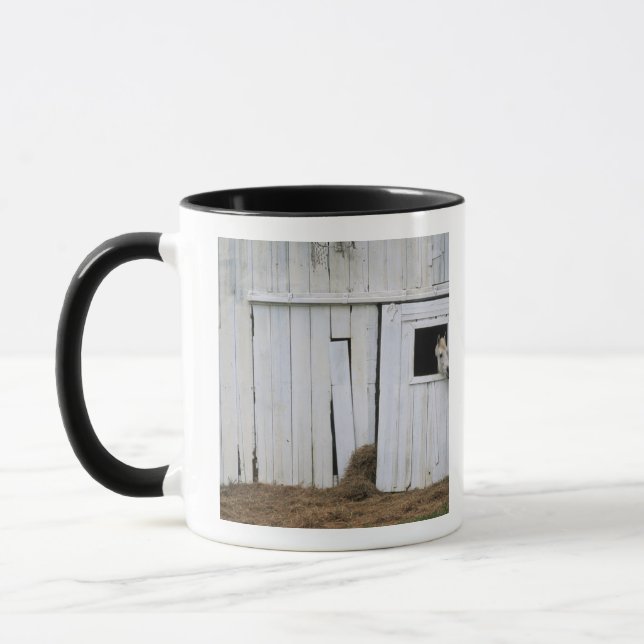 Pferdedas haften gehen heraus Scheunen-Fenster Tasse (Links)