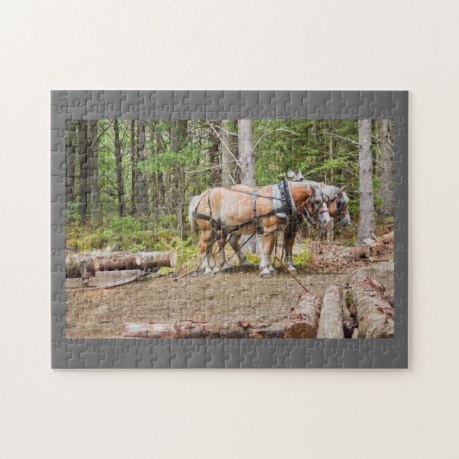Pferdedas ziehen meldet Holz von Maine an (Horizontal)
