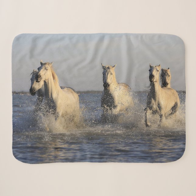 Pferdedecke Sherpadecke (Vorderseite (Horizontal))