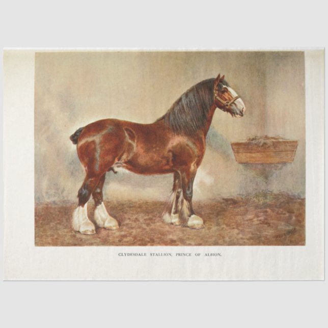 Pferdedekutsche Vintag Clydesdale Seidenpapier (Vorderseite)