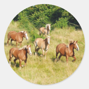 Pferdeentwurf auf dem Feld Runder Aufkleber