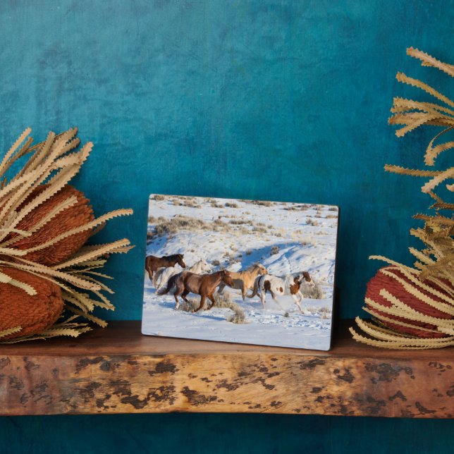 Pferdefahrt im Winter auf der Hideout Ranch Fotoplatte (Seite)