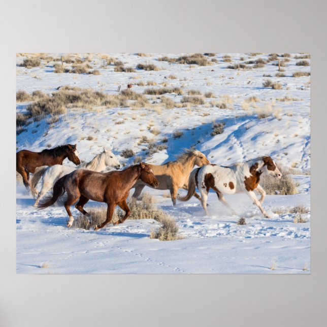 Pferdefahrt im Winter auf der Hideout Ranch Poster (Vorne)