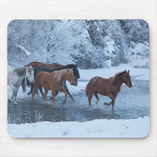 Pferdefahrt im Winter Mousepad (Vorne)