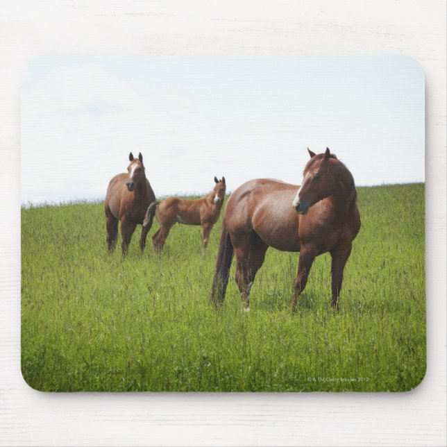 Pferdefamilie Mousepad (Vorne)